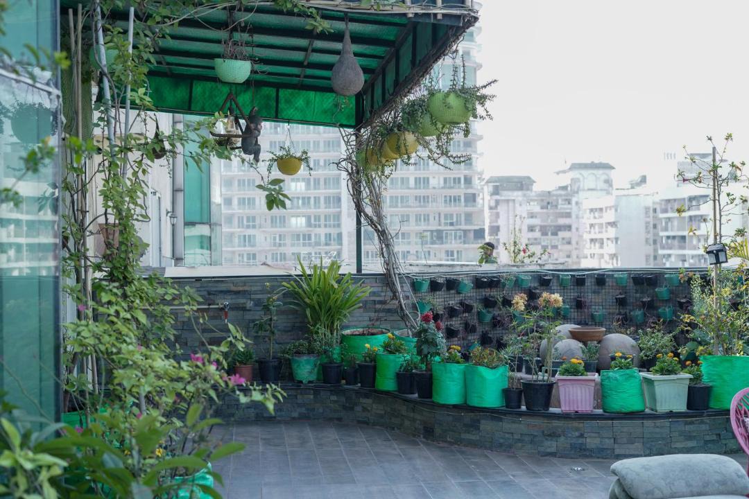 Photo of Others in Noida