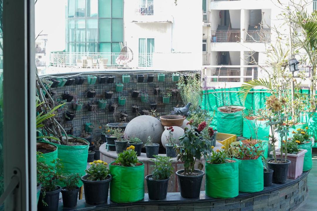 Photo of Others in Noida