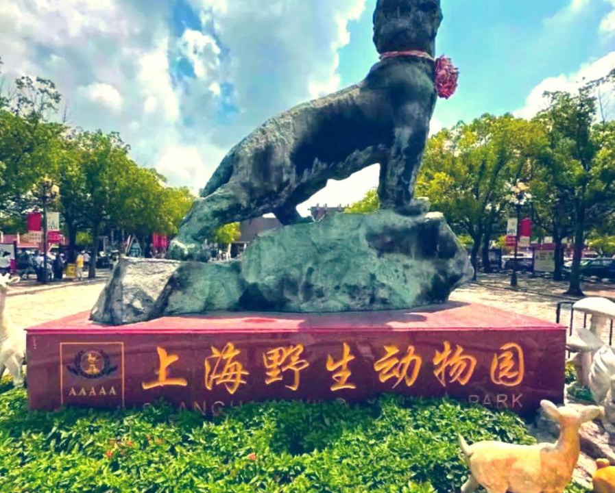 Photo of Others in Pudong