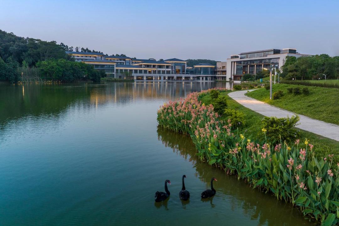 Photo of Others in Dongguan City Center