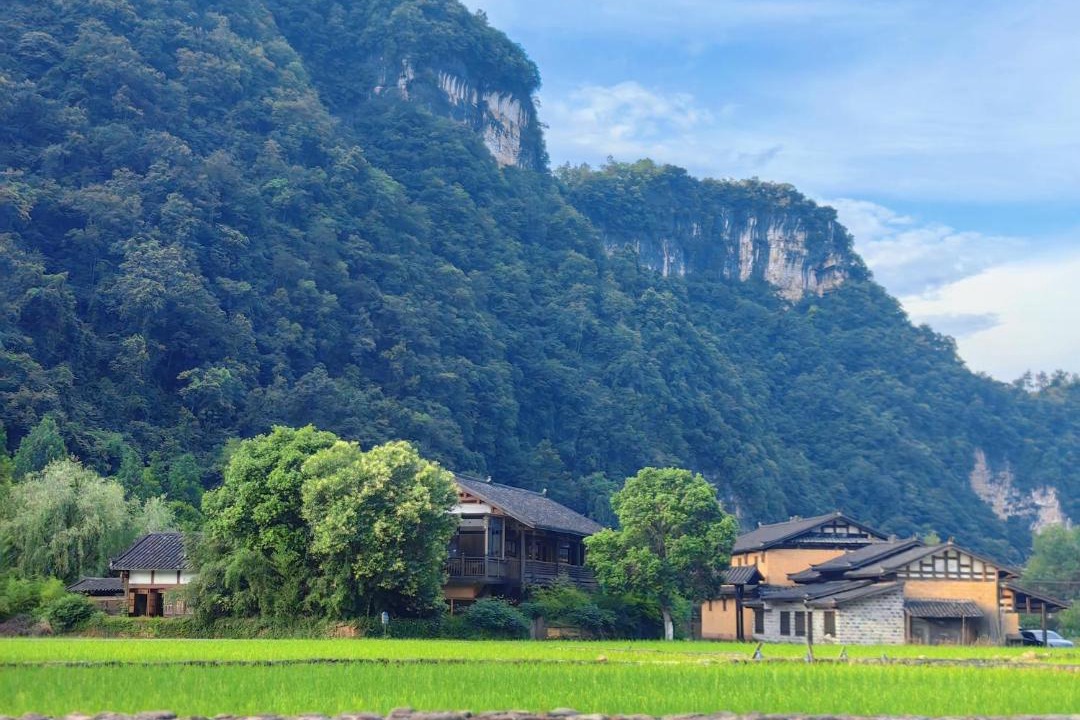 Photo of Others in Wulingyuan