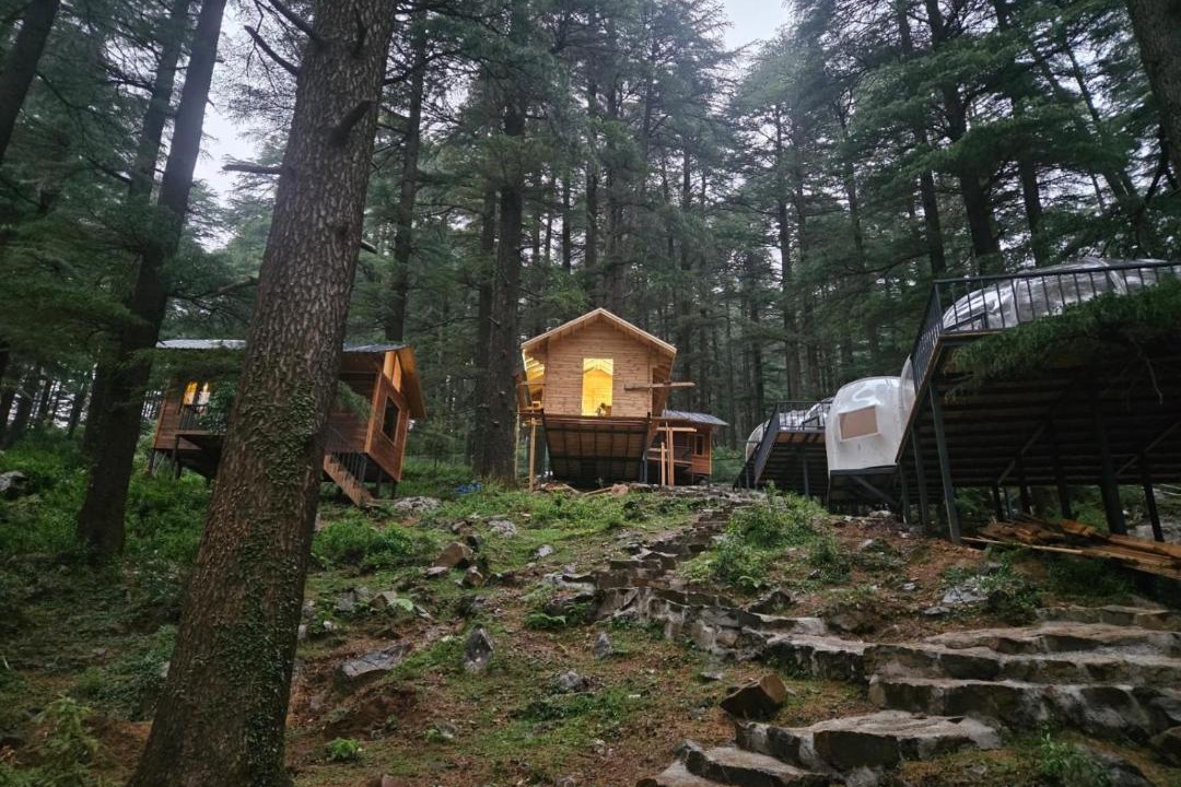 Photo of Others in Dharamkot