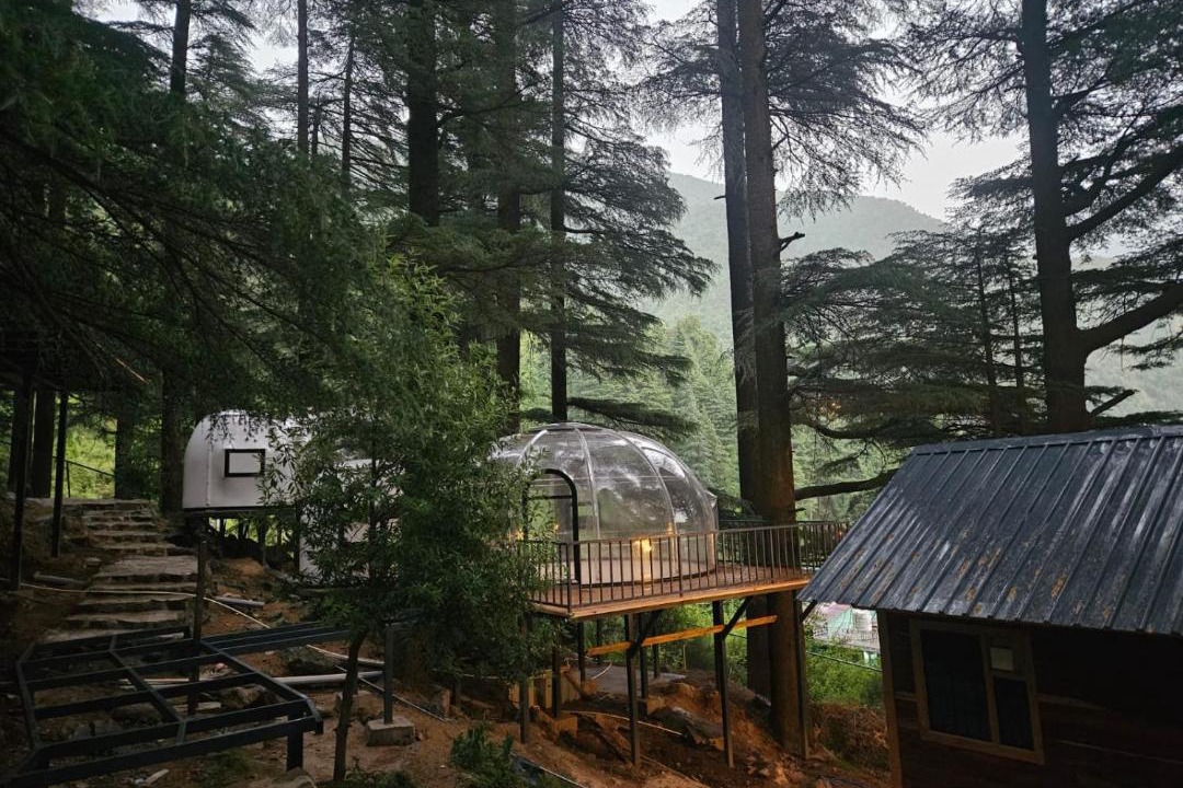 Photo of Others in Dharamkot