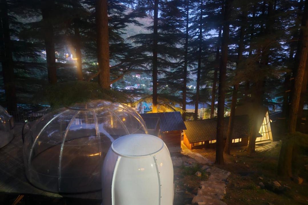 Photo of Others in Dharamkot