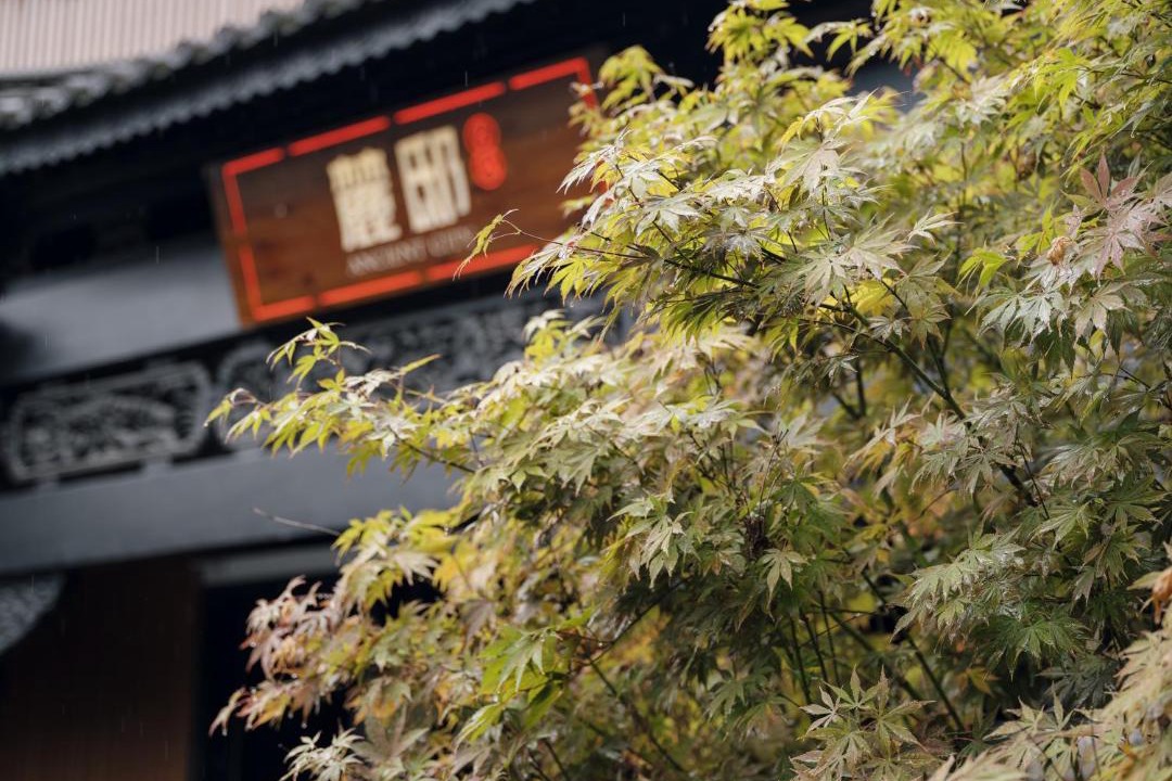 Photo of Others in Dali Ancient Town