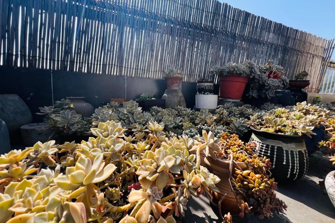 Photo of Others in Dengfeng