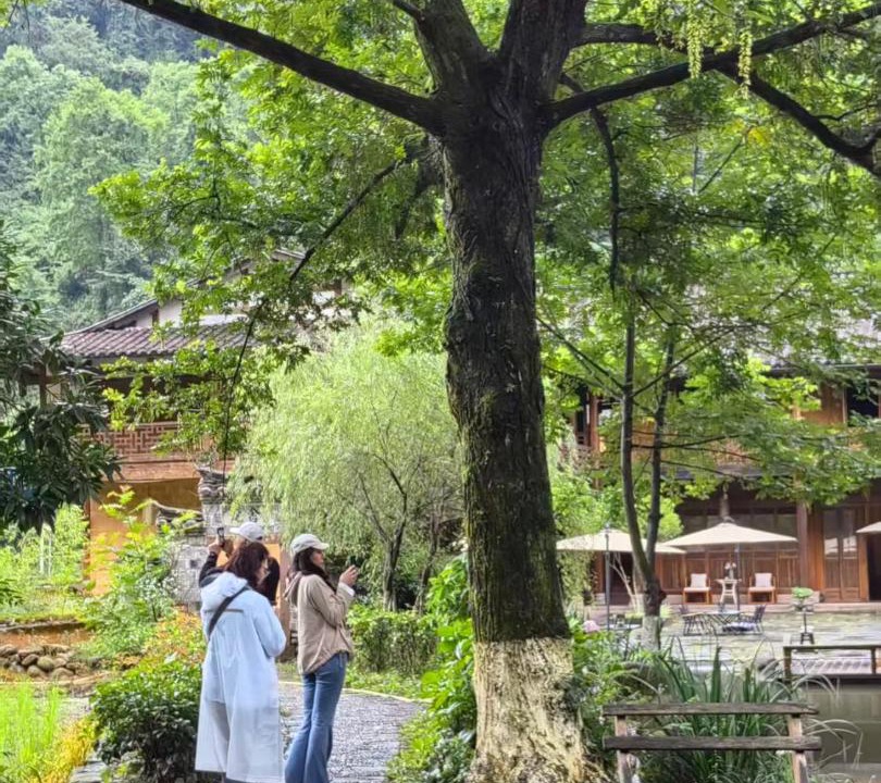 Photo of Others in Wulingyuan