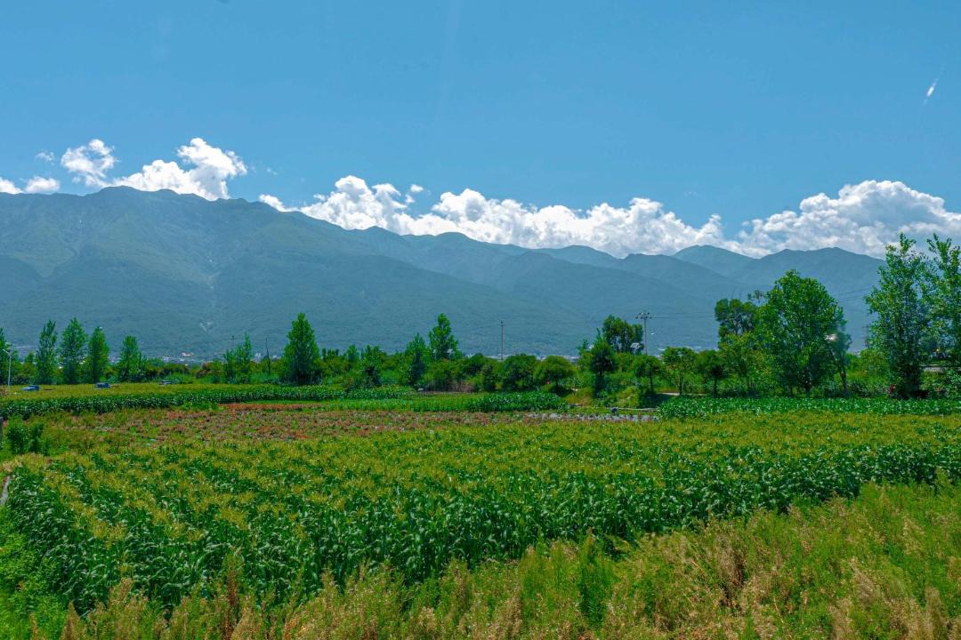 Photo of Others in Dali Town