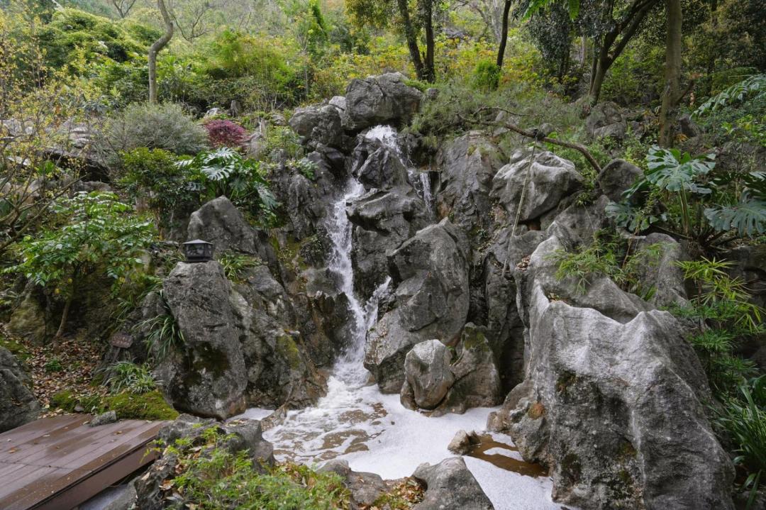 Photo of Others in Xiufeng