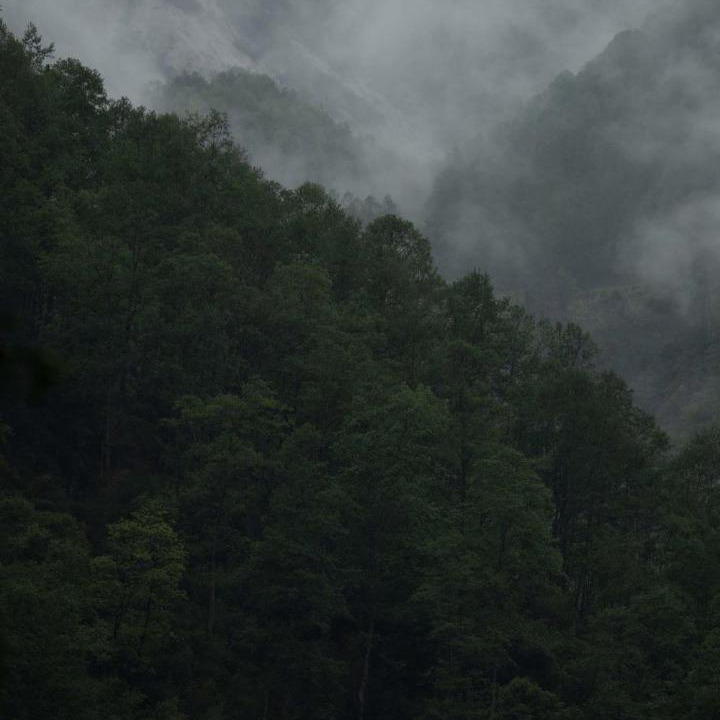 Photo of Others in Hailuogou