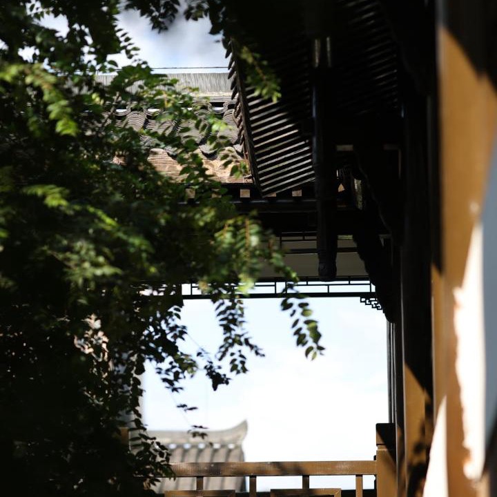 Photo of Others in Wang Cheng
