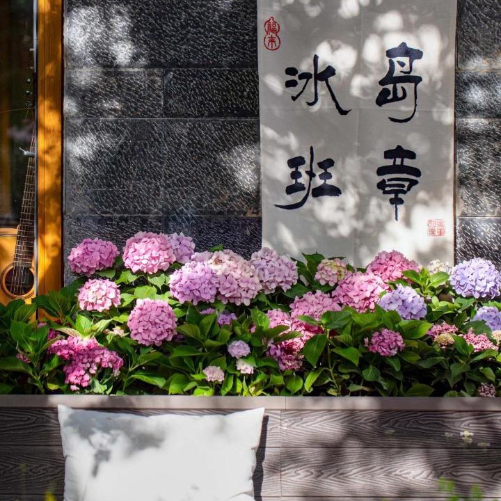 Photo of Others in Gucheng