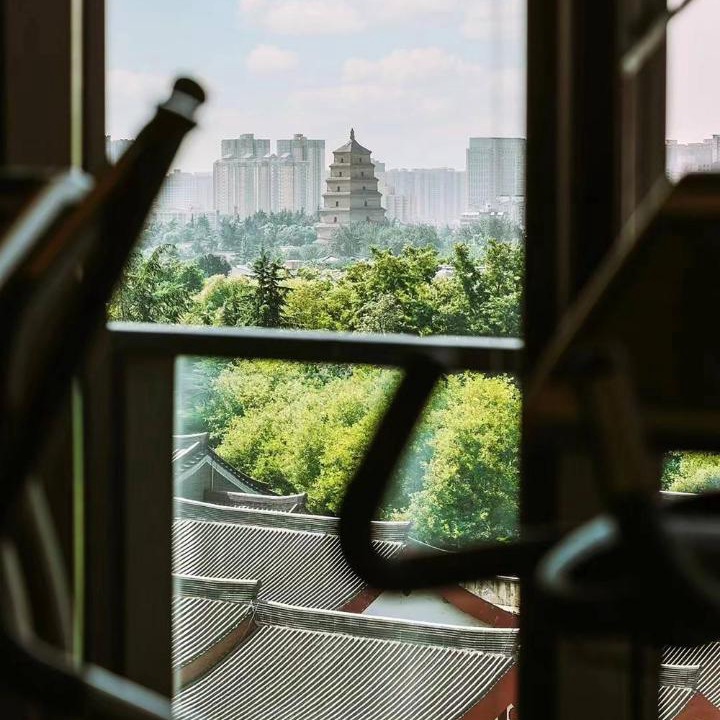 Photo of Others in Qujiang New District