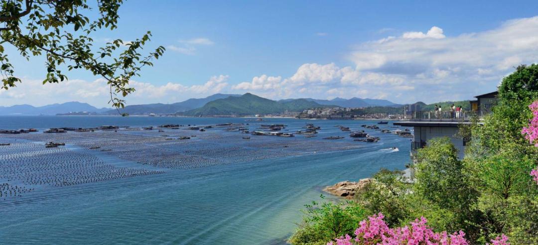 Photo of Others in Dapeng