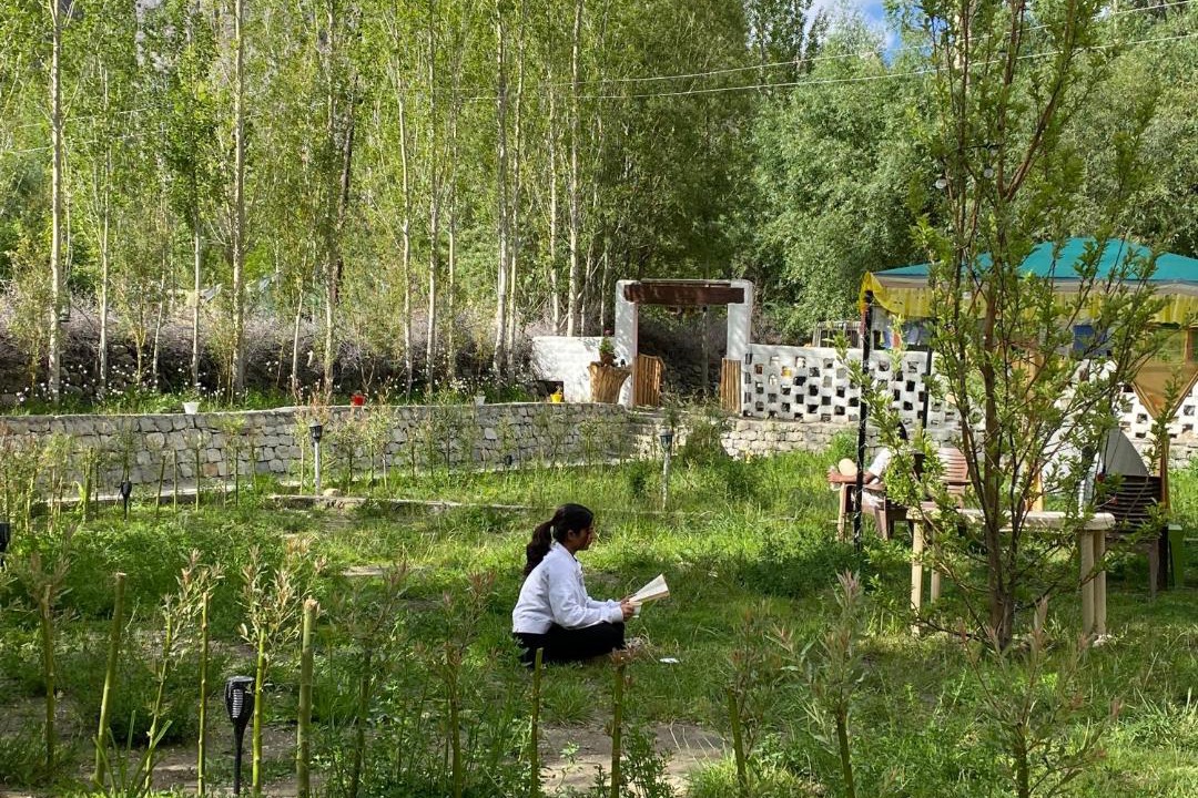 Photo of Others in Hundur