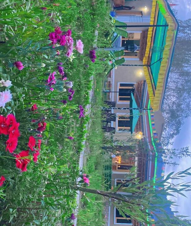 Photo of Others in Hundur
