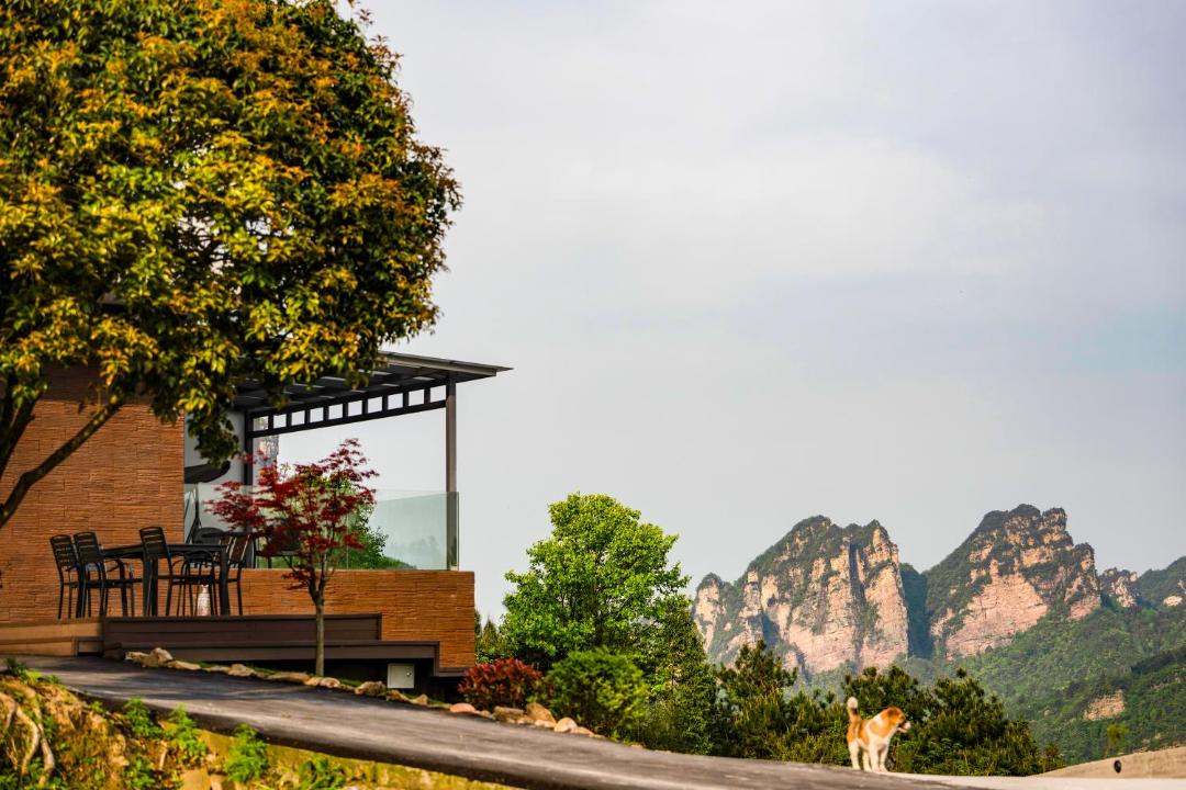 Photo of Others in Wulingyuan