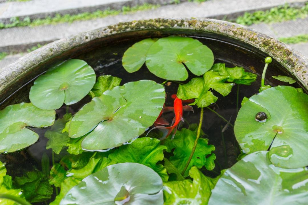 Photo of Others in Yangshuo