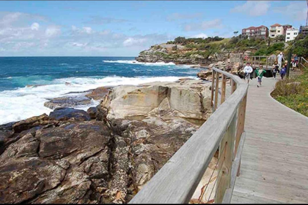 Photo of Others in North Bondi