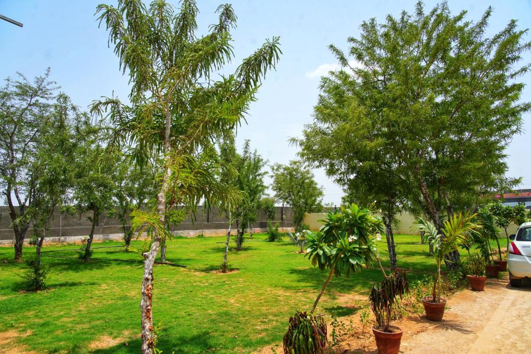 Photo of Others in Sanganer