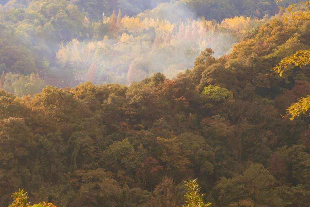 Photo of Others in Dujiangyan