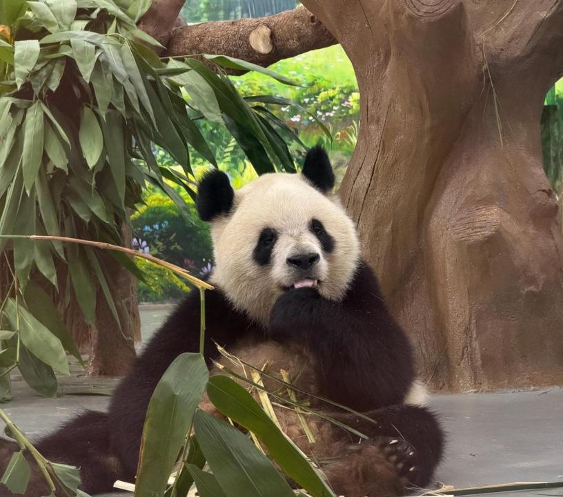 Photo of Others in Yuexiu