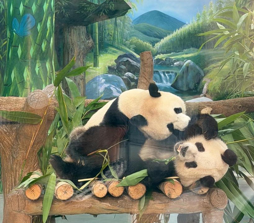 Photo of Others in Yuexiu
