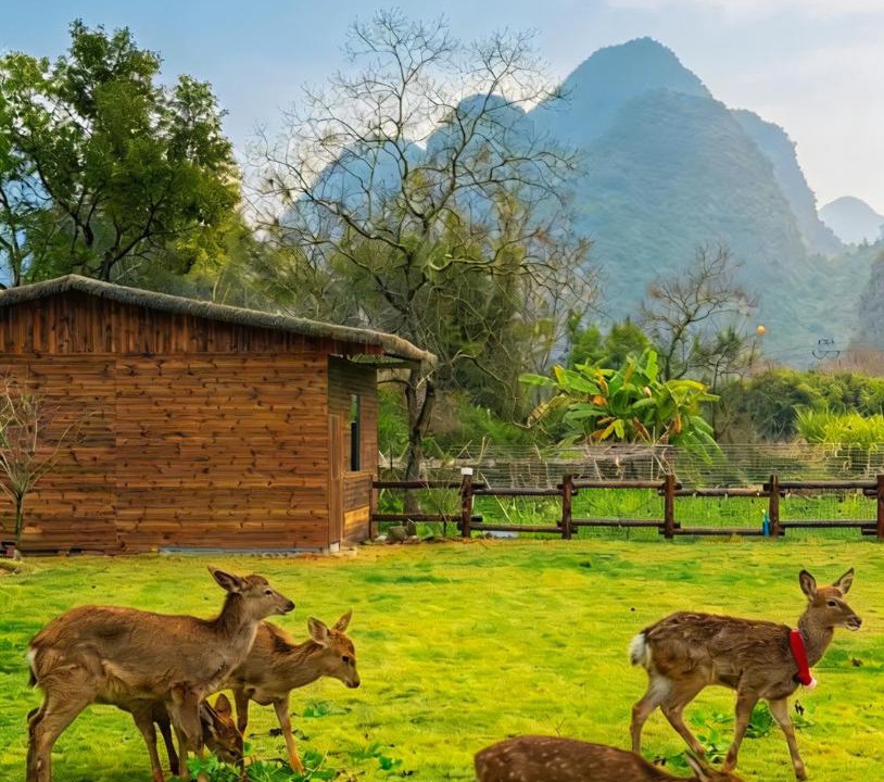 Photo of Others in Yangshuo