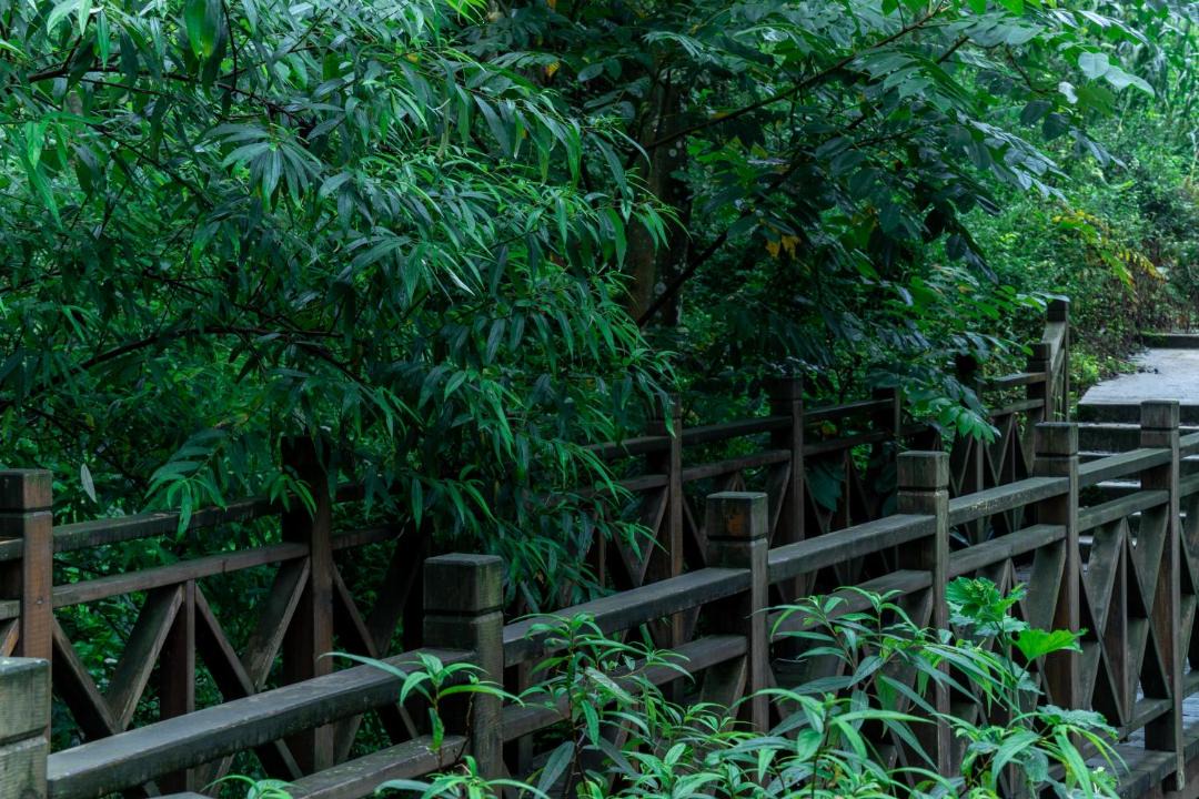 Photo of Others in Dujiangyan