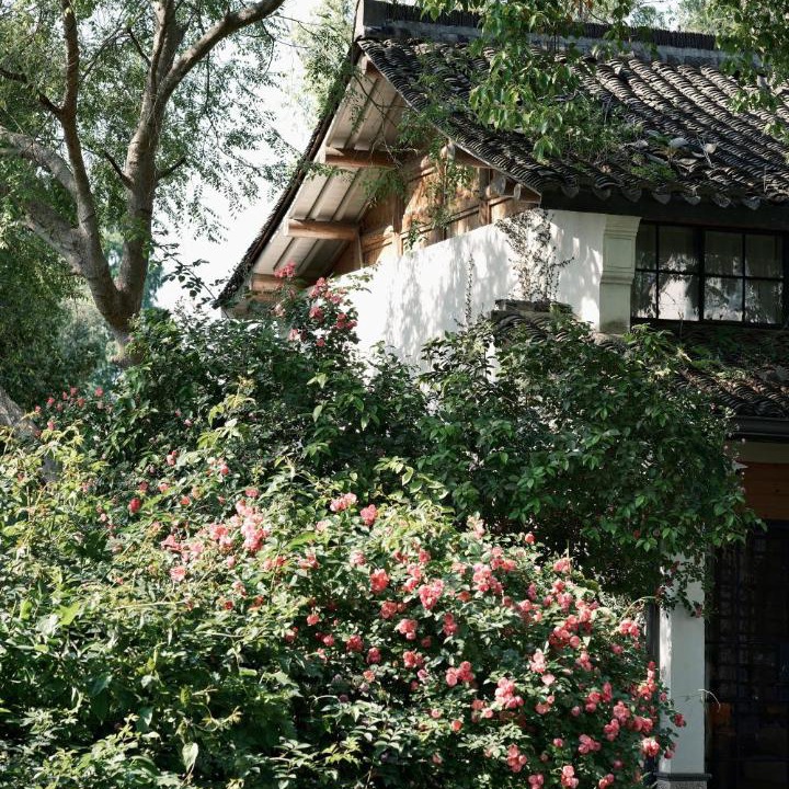 Photo of Others in Xihu