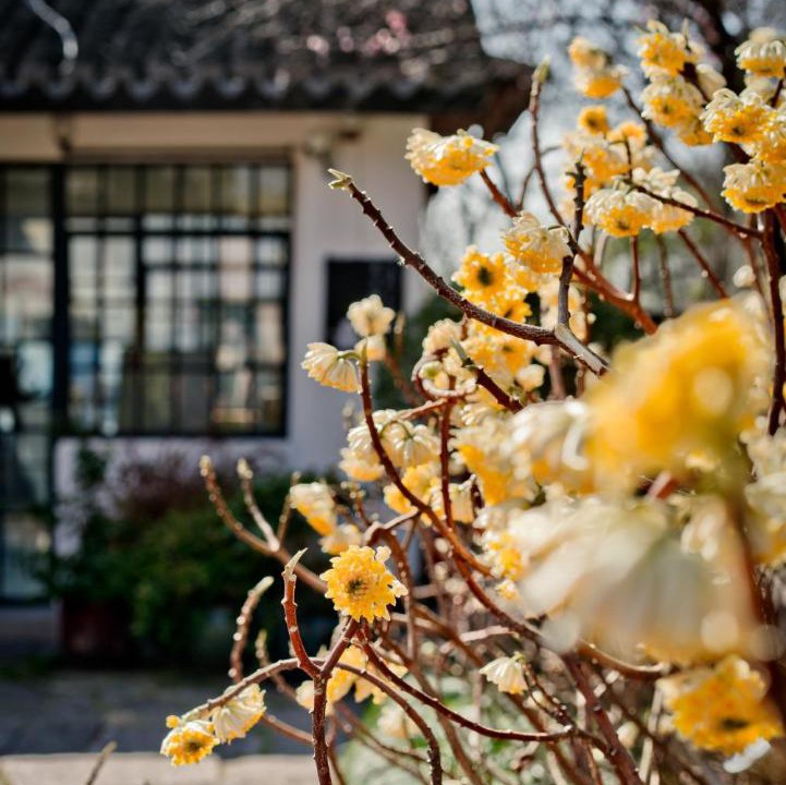 Photo of Others in Xihu