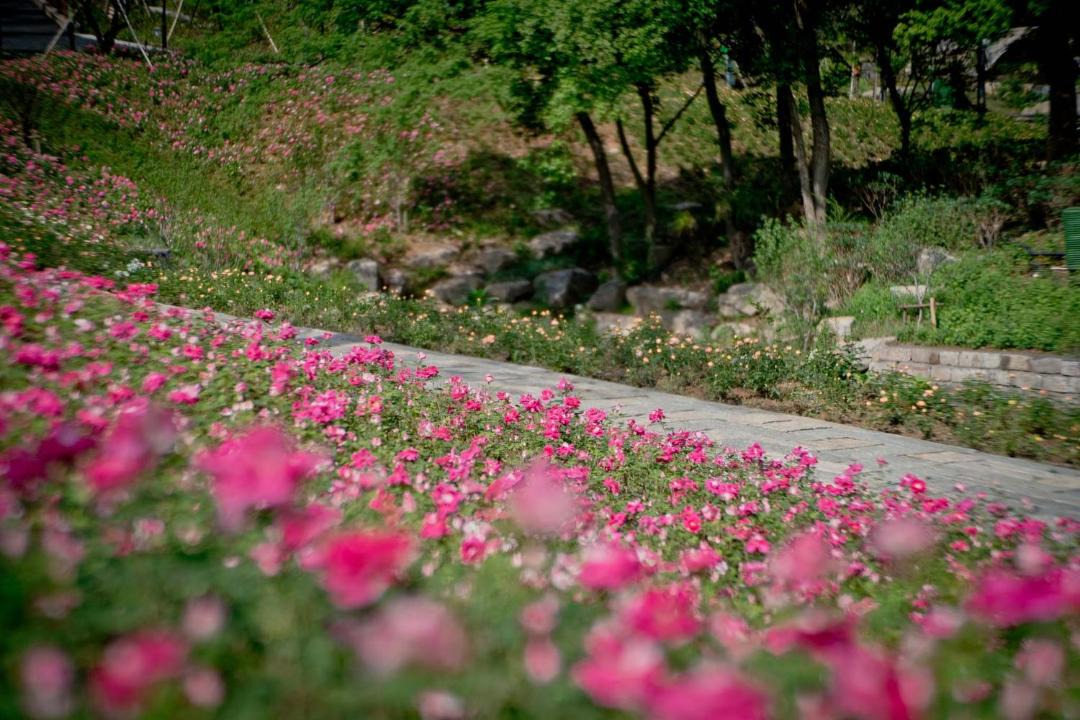 Photo of Others in Moganshan