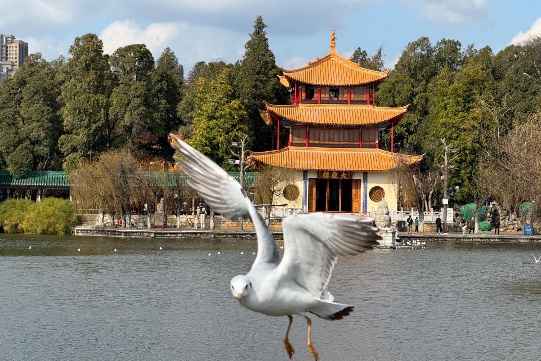 Photo of Others in Xishan