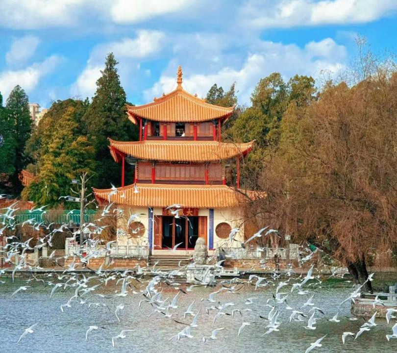 Photo of Others in Xishan