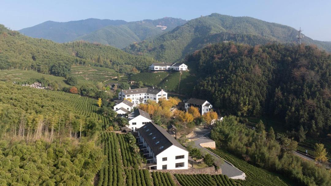 Photo of Others in Moganshan