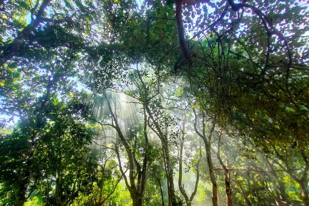Photo of Others in Rangamati Hill District