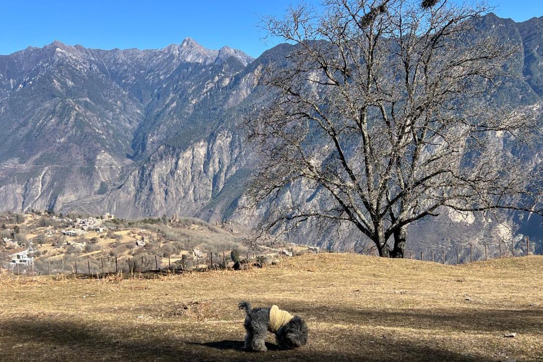Photo of Others in Garze
