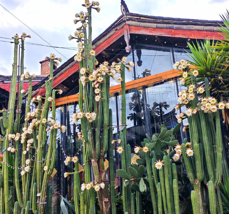 Photo of Others in Shuhe Old Town