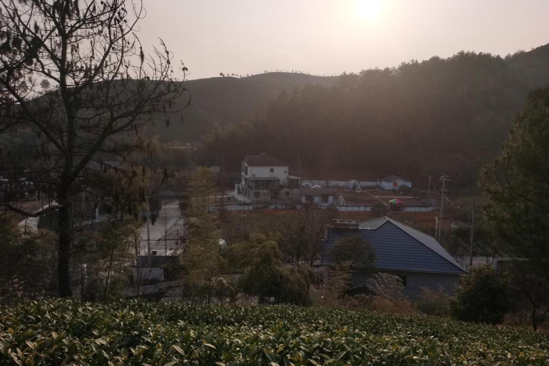 Photo of Others in Anji
