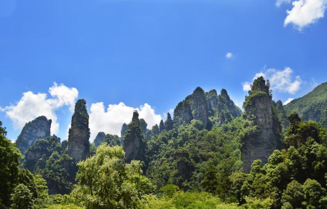 Photo of Others in Wulingyuan