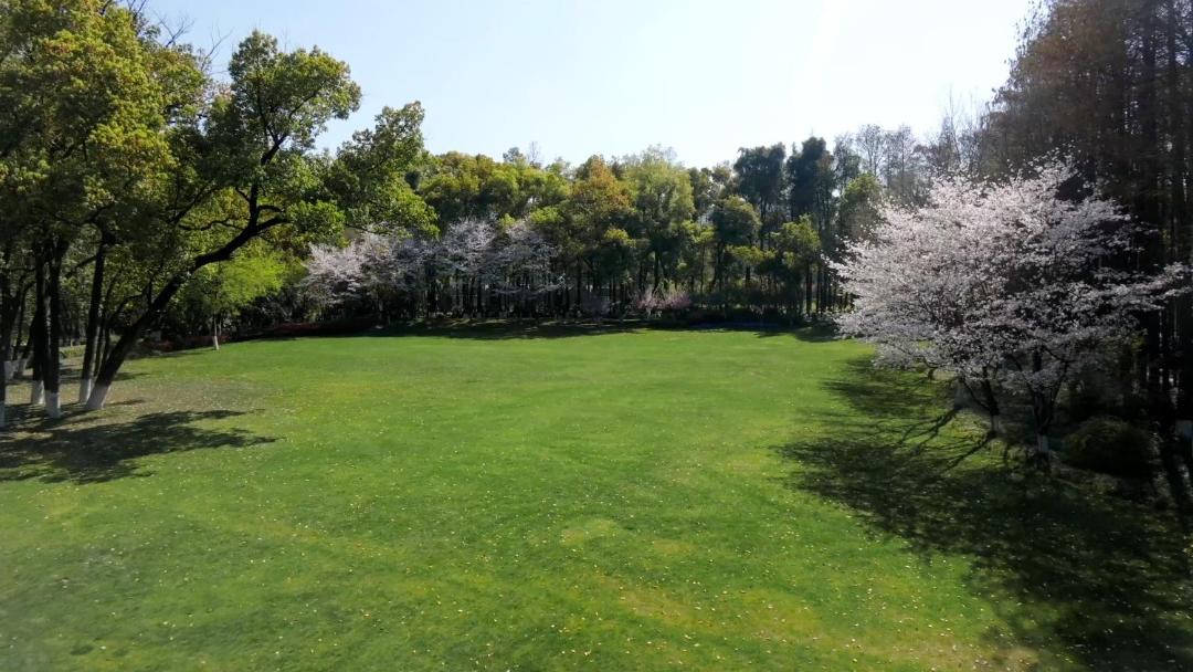 Photo of Outdoor in Jiang'an District