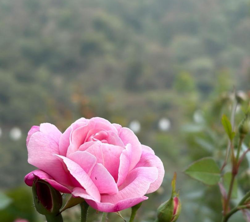 Photo of Outdoor in Shivpuri