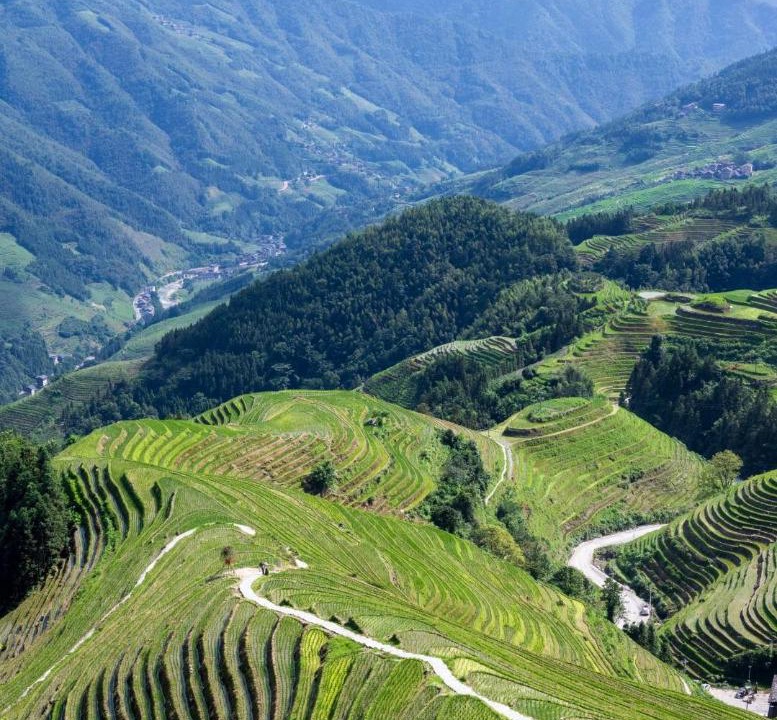 Photo of Others in Xiufeng