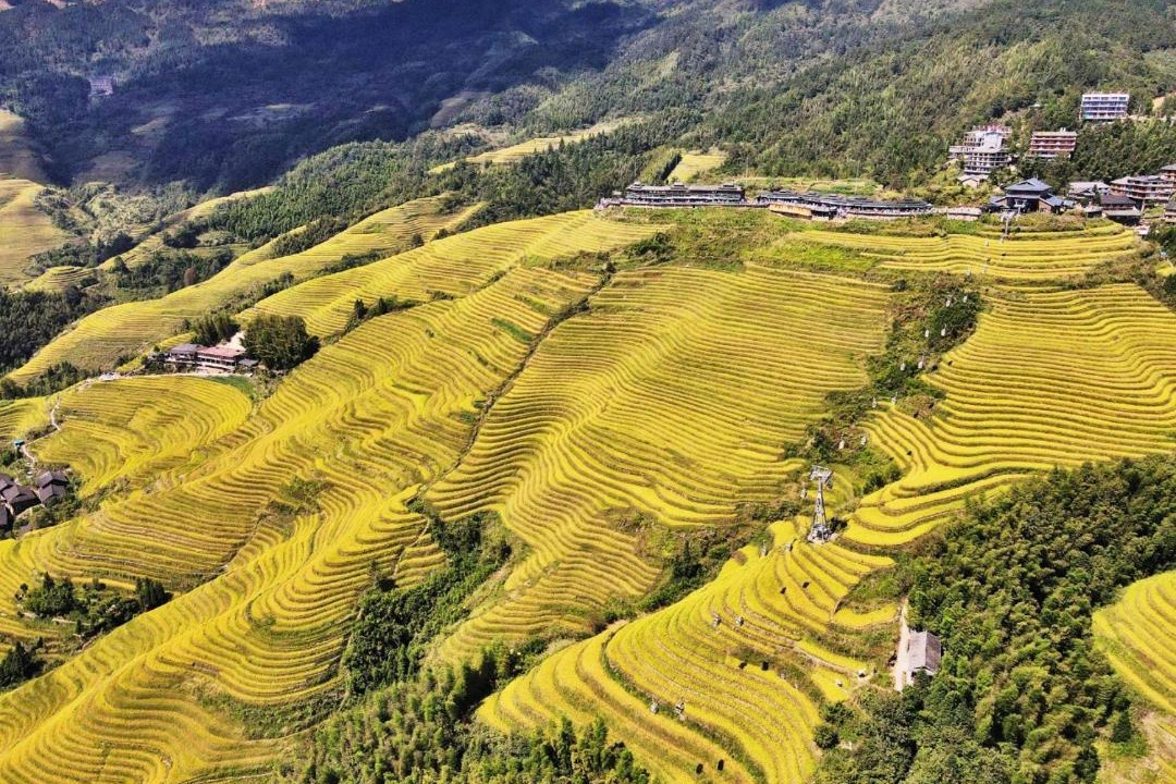 Photo of Others in Longsheng Various Nationalities Autonomous County