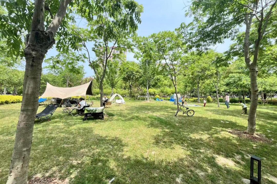 Photo of Others in Pudong