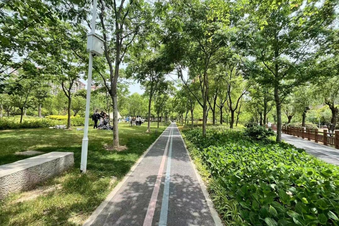 Photo of Others in Pudong
