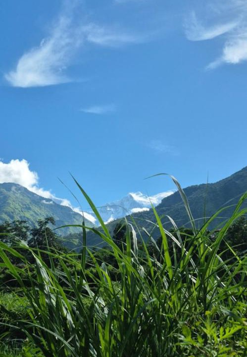 Photo of Others in Gandaki Zone
