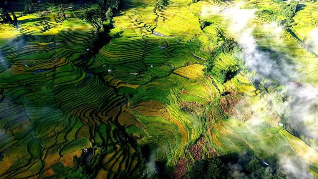Photo of Human In Picture in Honghe