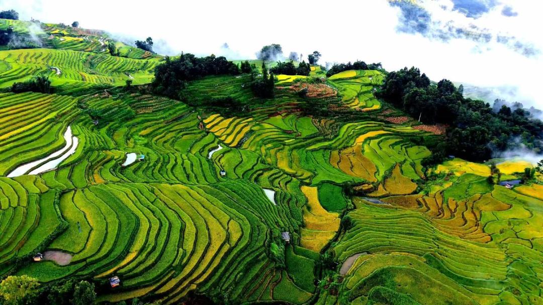 Photo of Others in Honghe