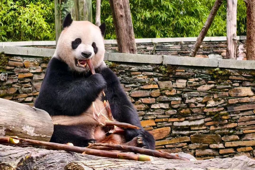 Photo of Others in Hejiang Pavilion